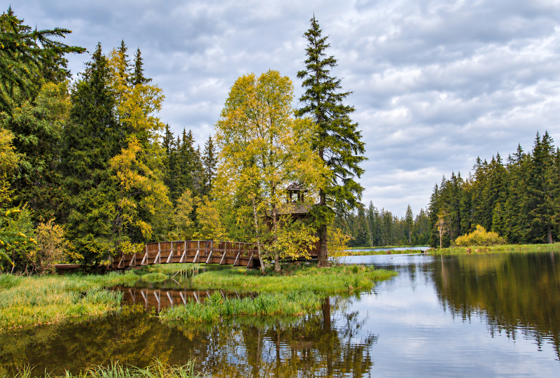 November in Mariánské Lázně: time for spa care and moments for yourself